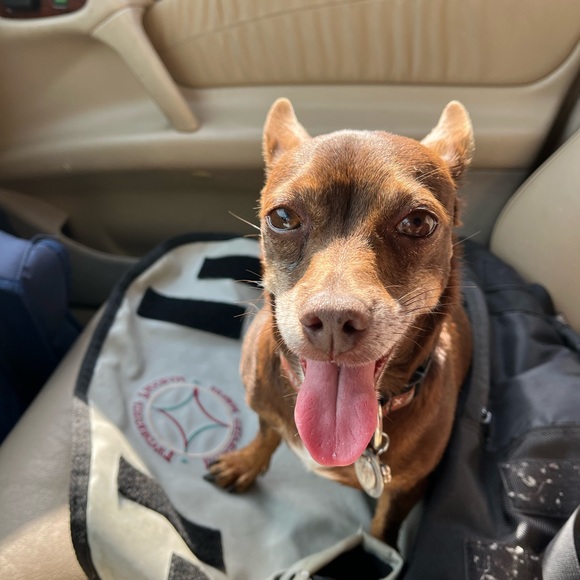 Meet your Posher, Michael - Picture 1 of 1